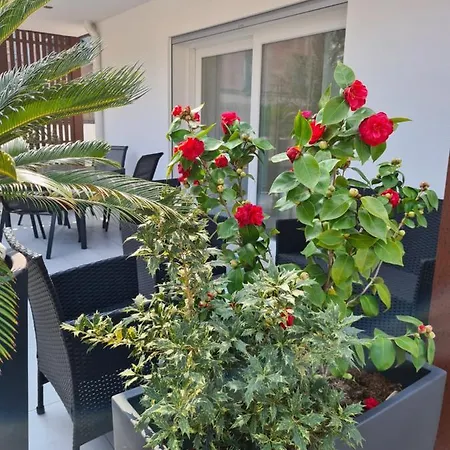 Apartment Klima House De Vilos